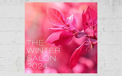 Group Exhibition – The Winter Salon 2024